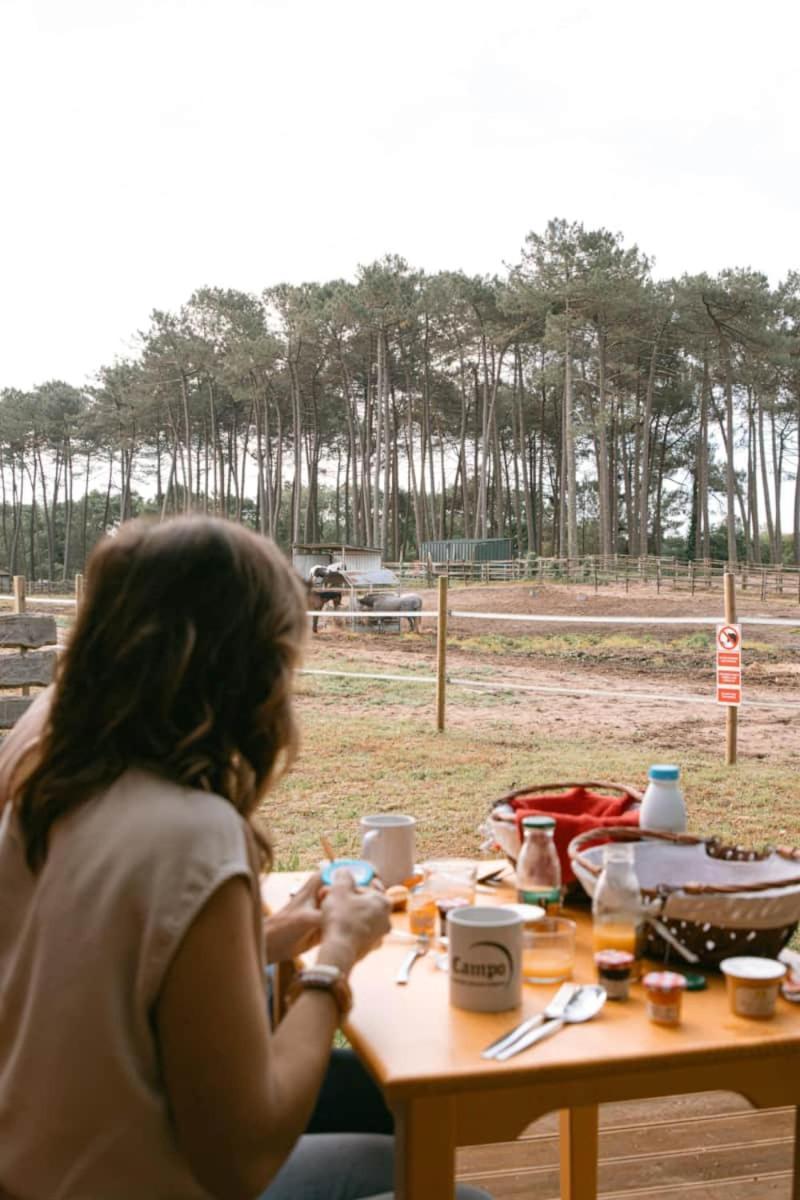 Hotel Roulottes cocooning au coeur des Landes à Mées Extérieur photo